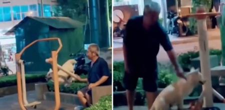 La emotiva escena de un hombre jugando con su perro por el parque: 